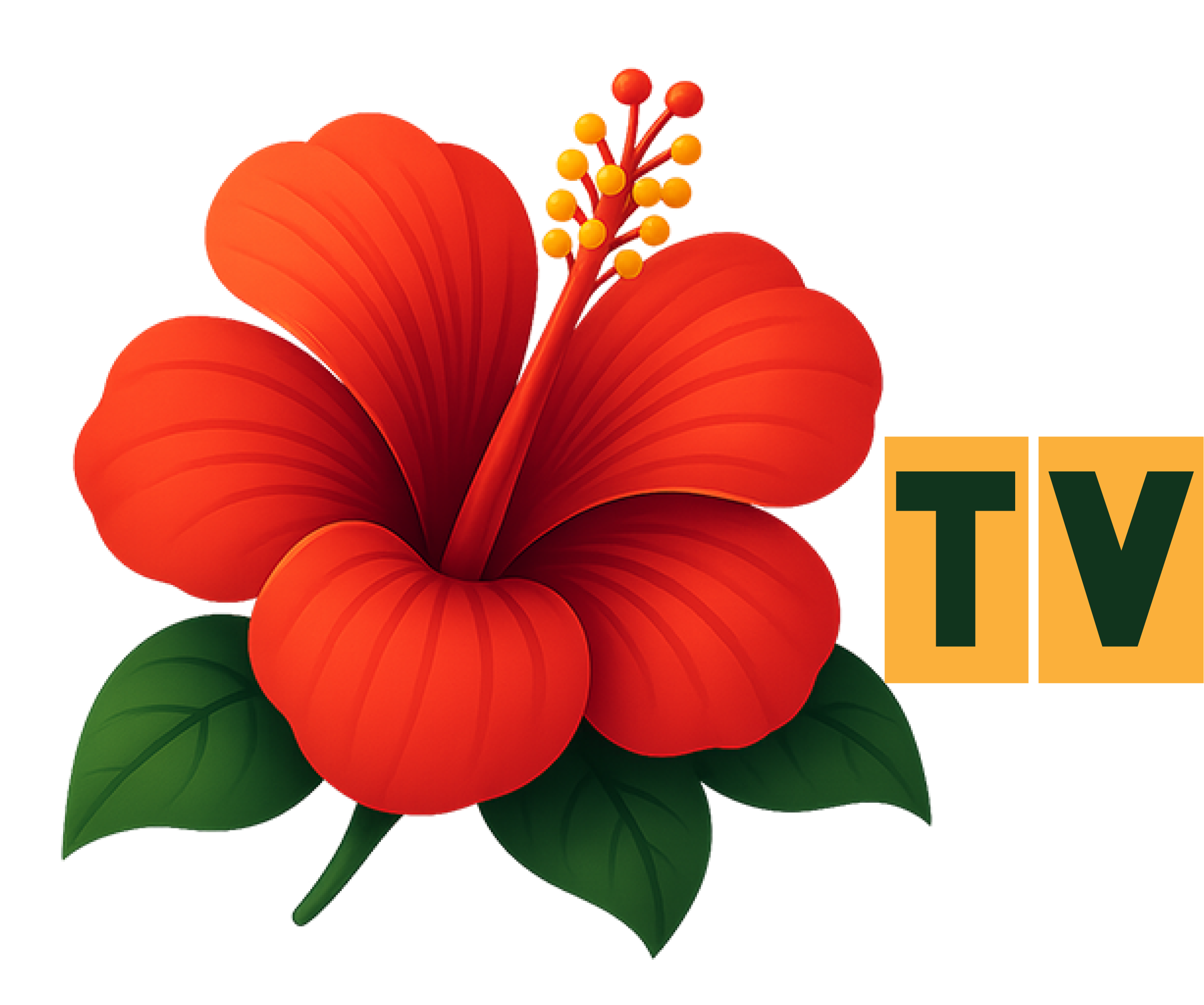 Zahra Tv